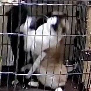 42db3bd3 209a 4513 aba7 dff571634fe8 1745525686708