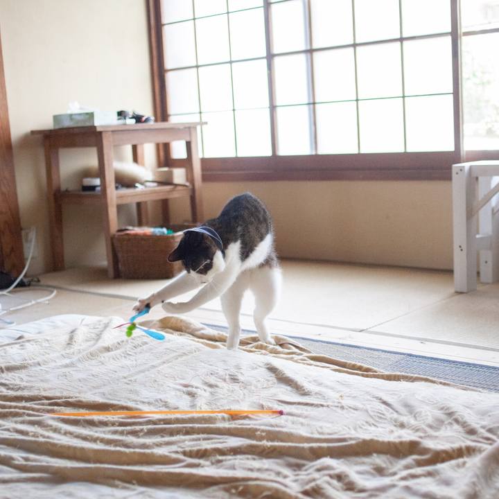 42db4044 d5f7 41fe 895d 59f881ecce6e 1572393540468