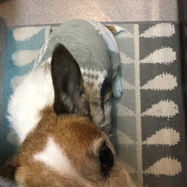 42db4b8a 933a 49e8 9ee6 c5ba5c149c30 1644968001517