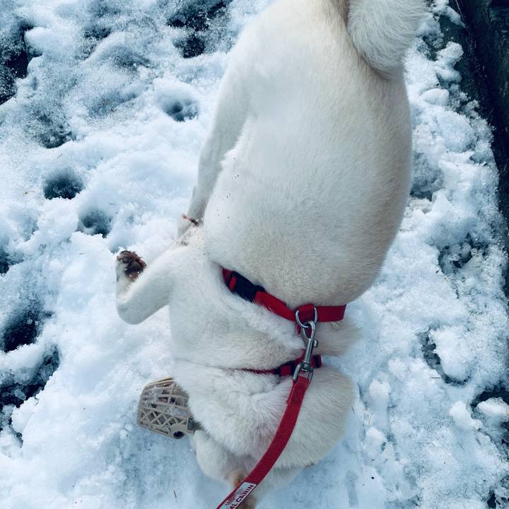 42db54a7 29ac 41e4 ab10 d38d884f9994 1605244839243