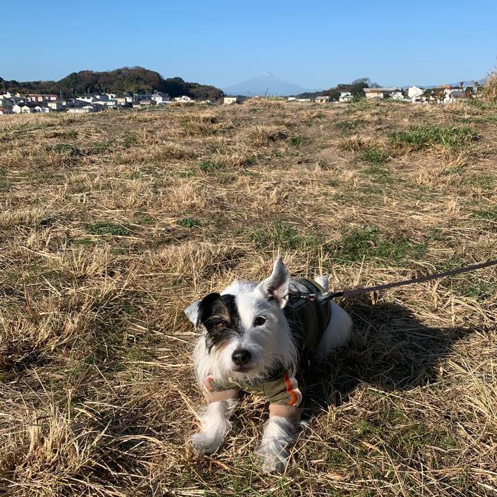 42db9a7a 32d1 4166 90bd 144e4db59985 1701998097072