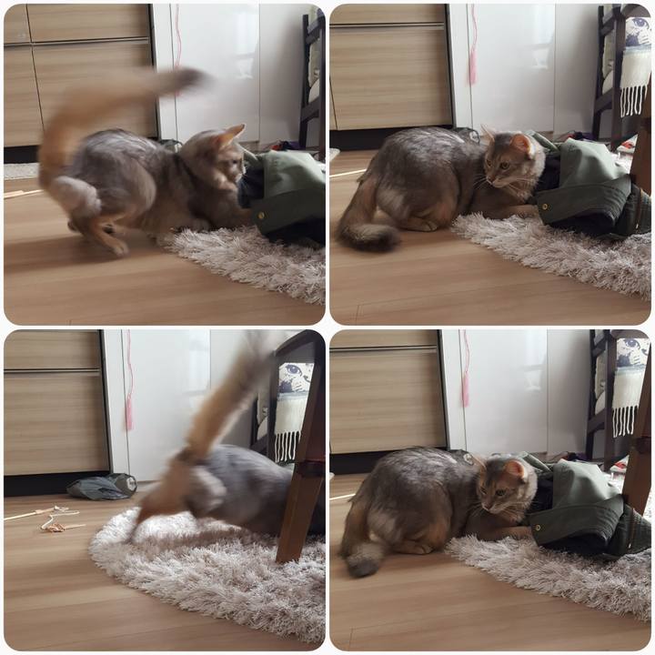 42dba2bb 626f 4adc 814b 27f59bcda99c 1585362617618