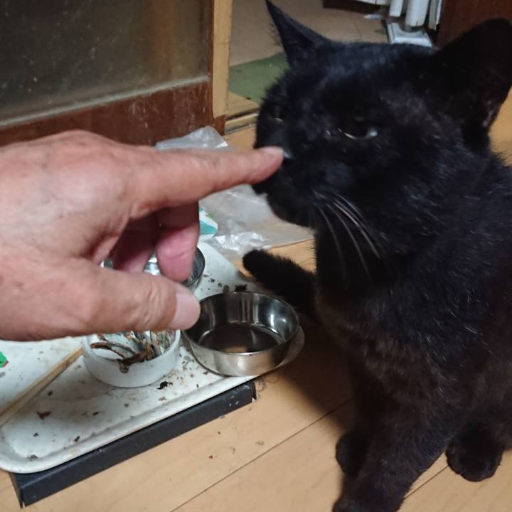 42dc3656 d485 42fd b604 93ff7bd3a22a 1626089512841