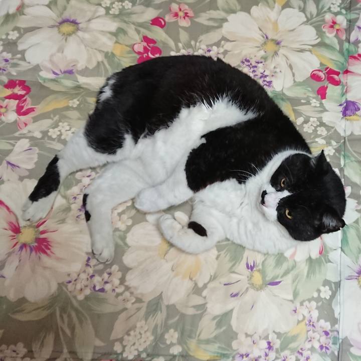 42dc4583 d814 4bed 8408 f0b98ed0877a 1607065776689