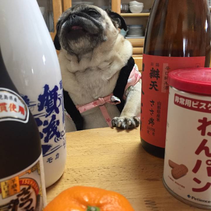 42dc518c 7cbb 42a8 bb34 3f00b0a617ef 1521373711345