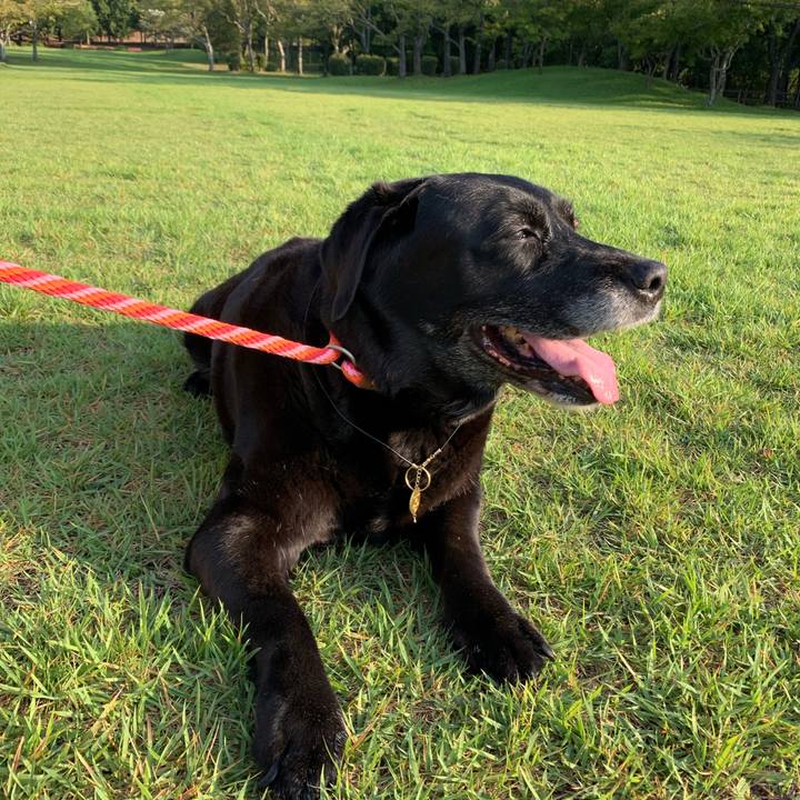 42dc5c49 b932 4b14 a6bf 3ae3fea5182c 1568503842821