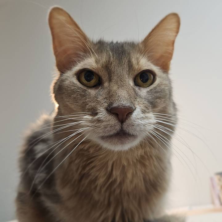 42dc6456 dd23 4f9a bab4 74598ce5a7e6 1769820150077