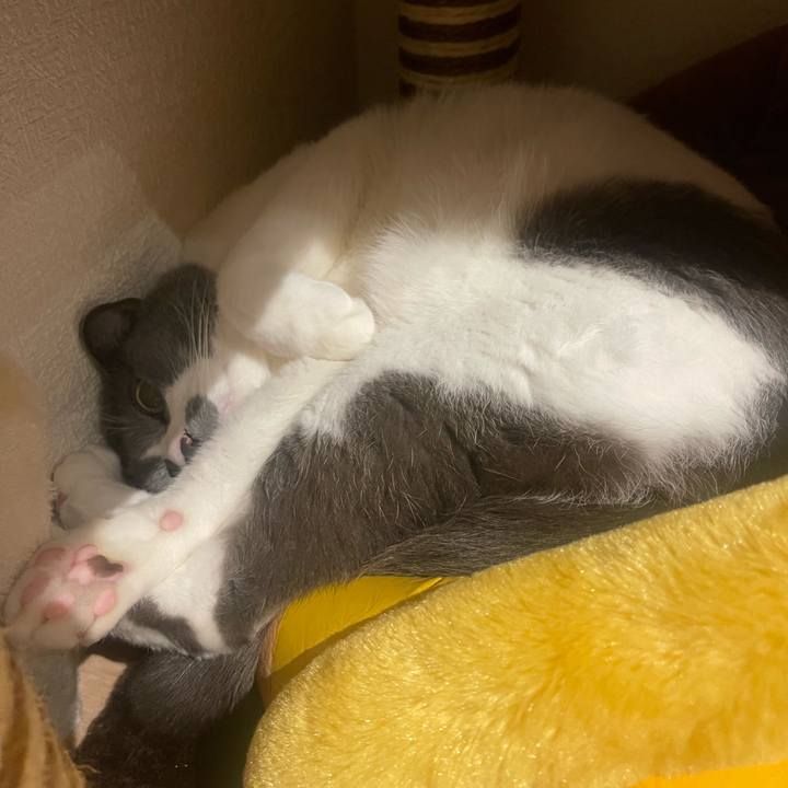 42dc9f2e 3cf2 4be1 8af0 5c18ef5ed894 1690544174820