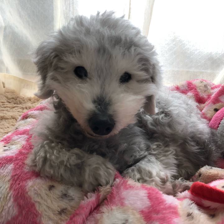 42dcc5ba ca4d 452e 850e 355d242e4d19 1648955793036