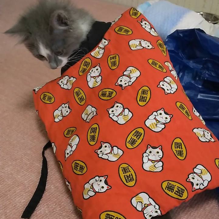 42dccc43 b9b2 4436 8ddf d1c714d3944c 1562812824203