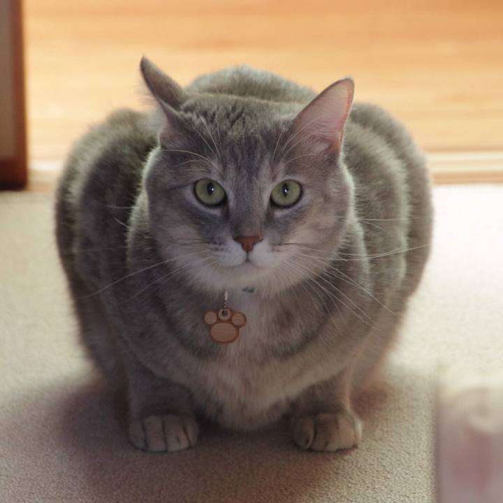 42dd19ea 0192 49f4 96c4 f87483b19013 1572234984491