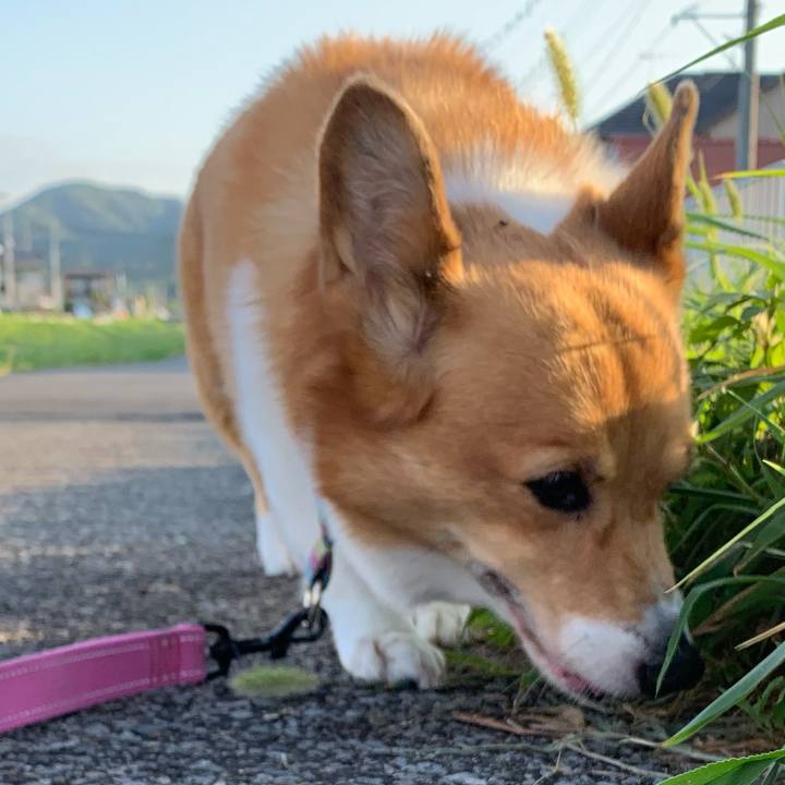 42dd339b 5d8f 442d 99f3 669a049d9a67 1690752514659