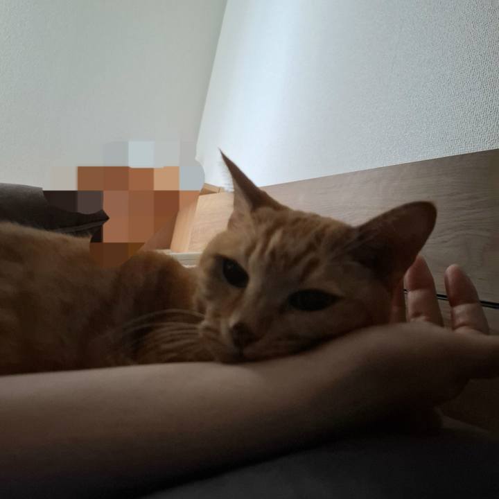 42dd4e55 0e3f 4fe4 8d1e e23169d889f5 1752275741267