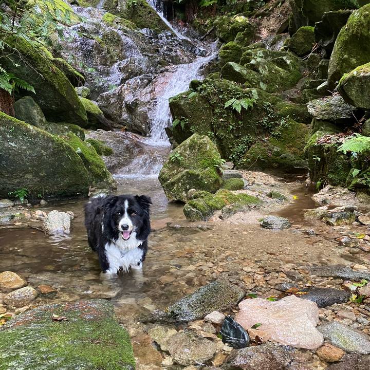 42dd5f76 a03e 4e2d 852c 1a097282187b 1660469620102