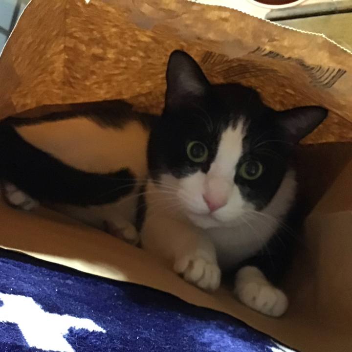 42dd69d0 2cba 4e34 8606 6738723ff5e7 1705229076583