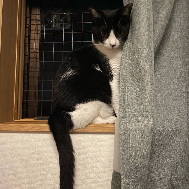 42dd91bd 9c09 4653 ae05 b8019709d025 1725036394908