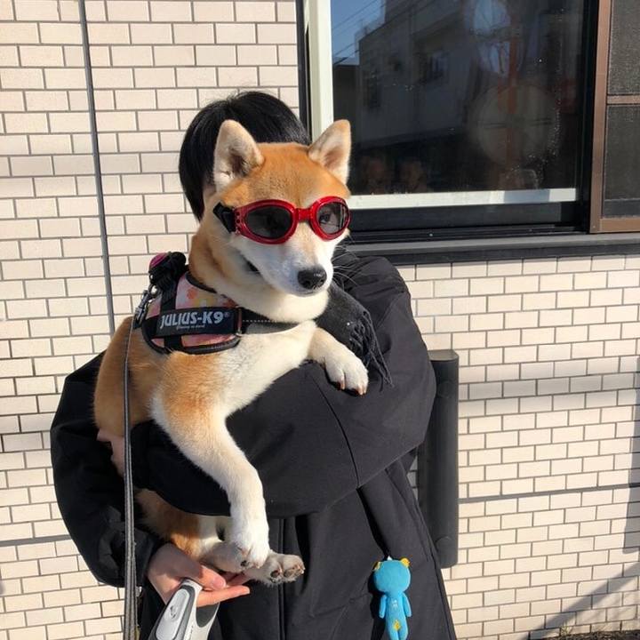 42ddb43b b99c 42e8 a2d0 2c373497b77f 1578886714435