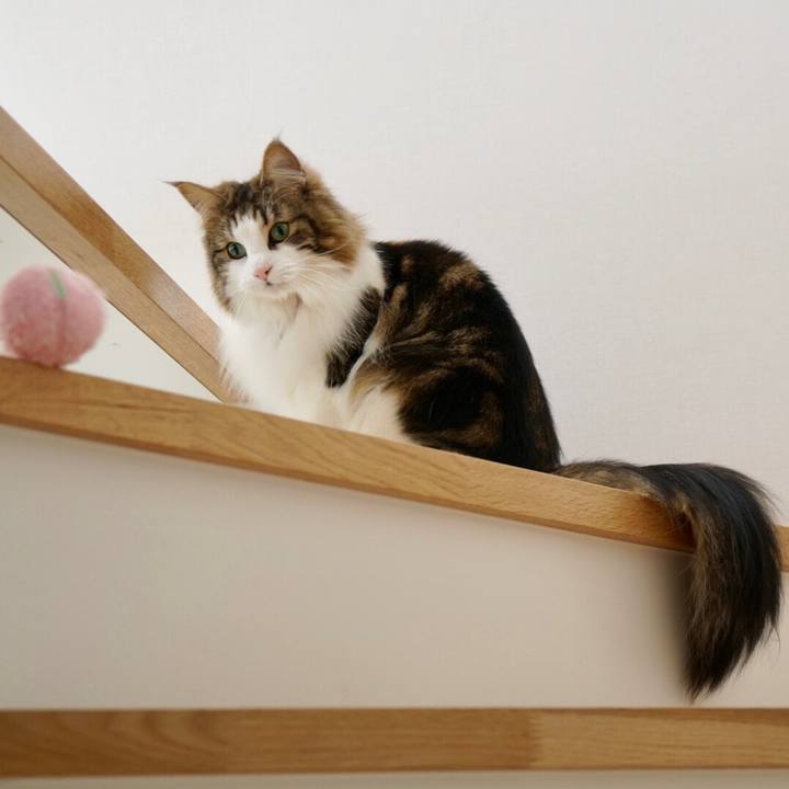 42dde9ff dfc4 4ce7 ab16 b73ed3b1debc 1550716423554