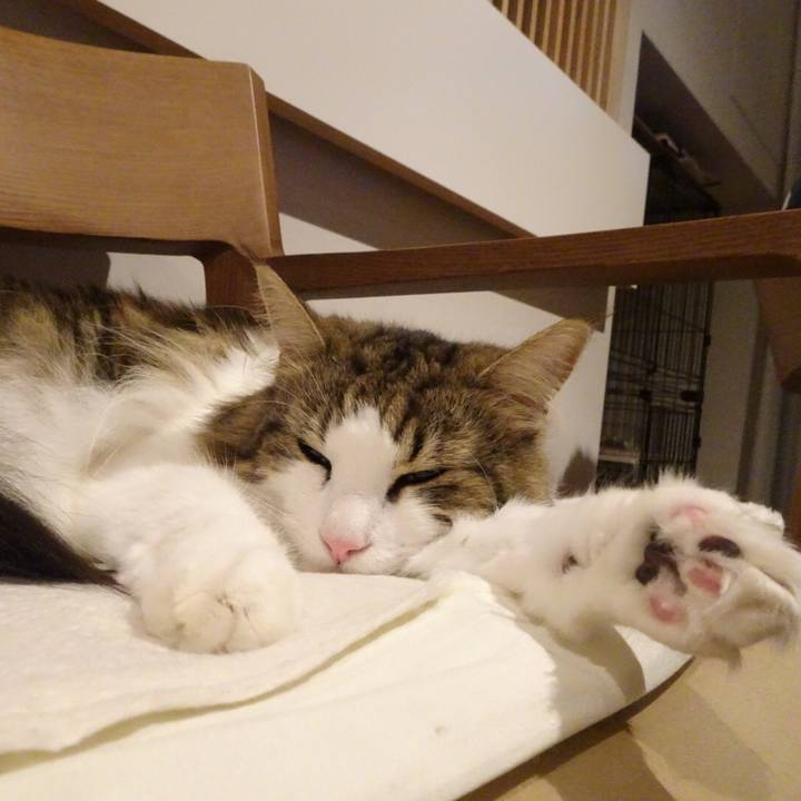 42ddfec2 e106 400a b3e3 a9829449902f 1535381814209