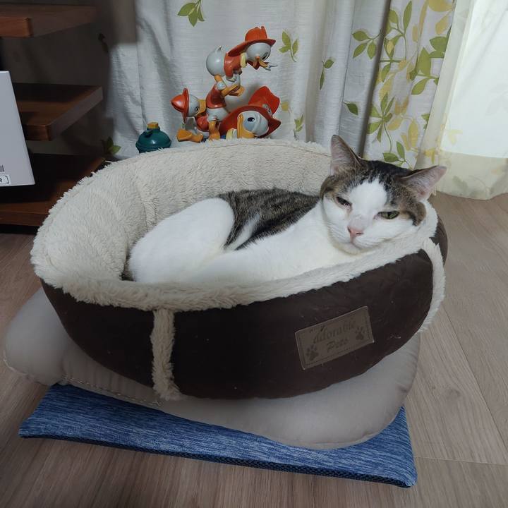 42de045f a9b5 40f6 8001 d2c66a30f0e6 1634766282099