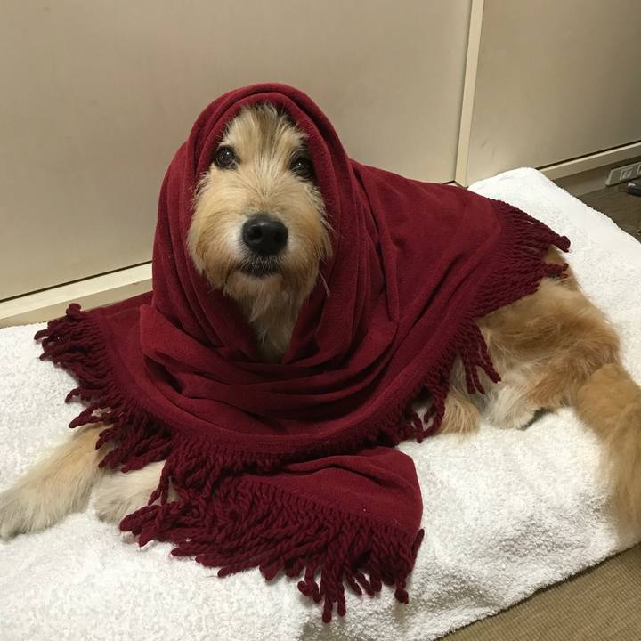 42de090d 5087 41ae 920f fd21ab21a96f 1539071871982