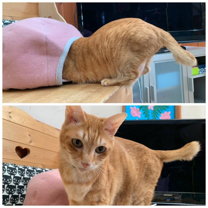 42de1d42 e201 4de1 bceb 14d29ba44953 1609214800462