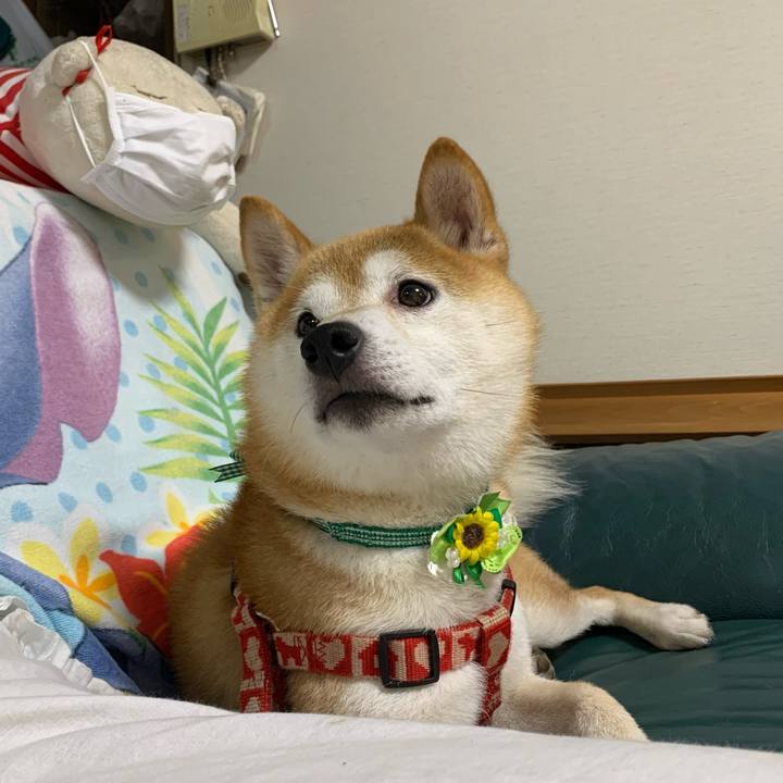 42de1f58 af08 42f9 8a3d 8b174f404d7a 1629546091834