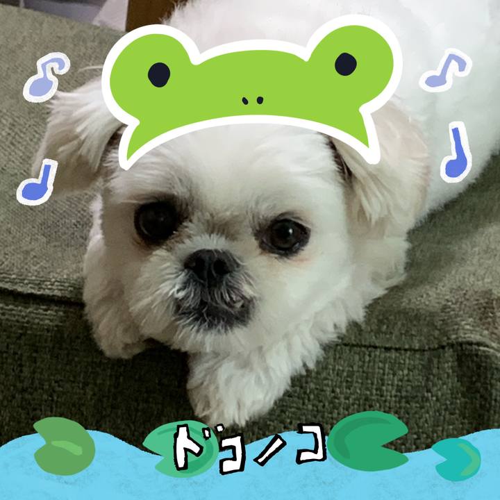 42de2fc5 1a7b 4712 9b79 c878a2ae05f7 1717564252362