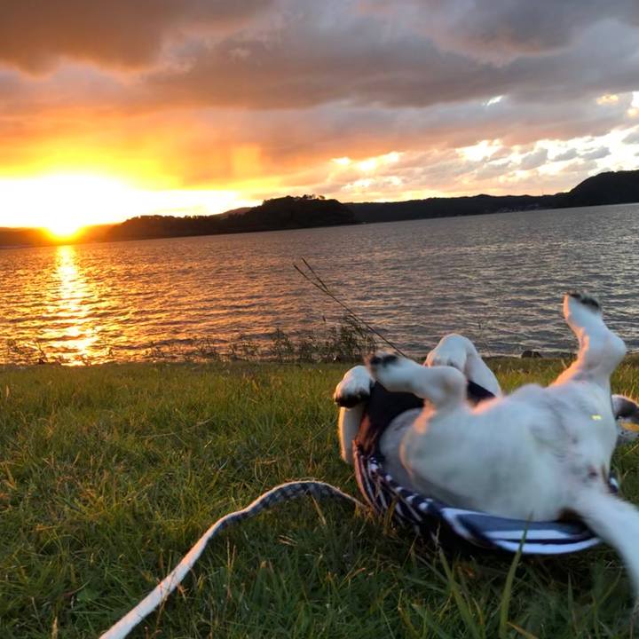 42de6514 6b62 4d66 8b73 40d3f0d94c19 1541070270243