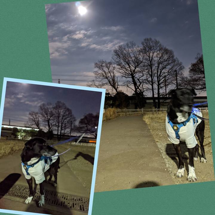 42de6c97 b692 4ae6 a985 c0fbd7a58012 1703675360265