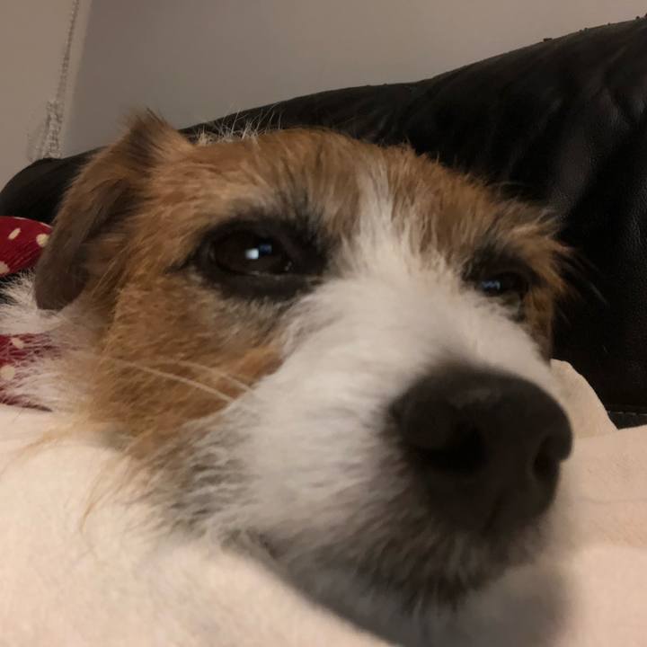 42de9719 5105 4f4c 84cb 17cc1a60dd6b 1575807520357