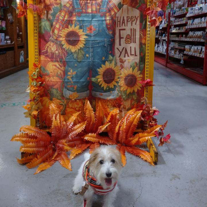 42deac74 d9cc 4b53 a38c 3cdc82dbfcb9 1757831295252