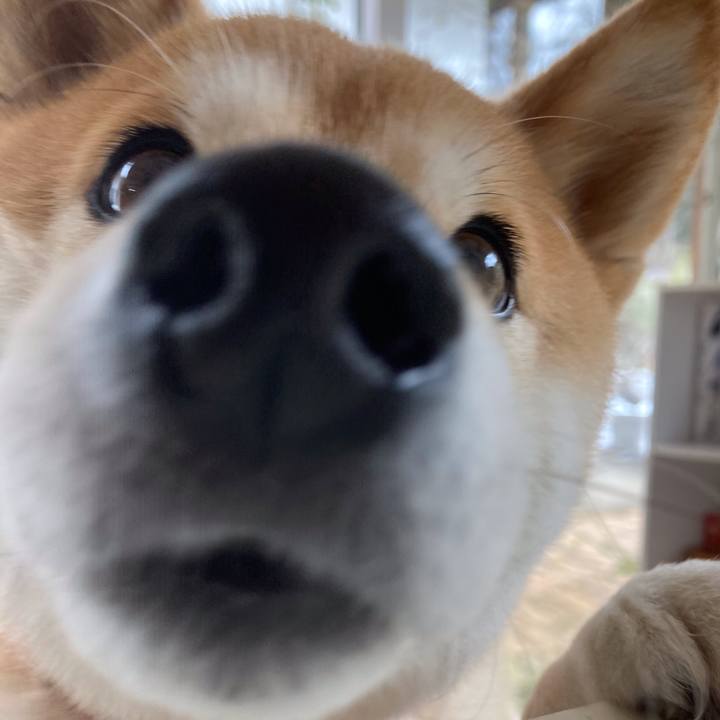 42dec6ad 7f35 4c0c a5f2 0f0f868b33d0 1673943028499