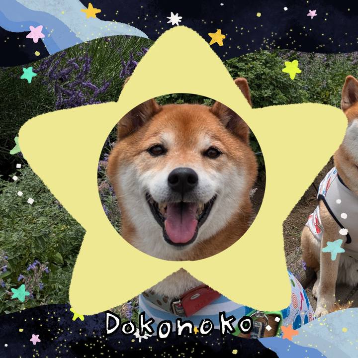 42ded8ad 6ec8 414b 8b88 2b38f0c99cf8 1720876682409