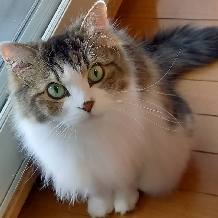 42def989 c423 45e3 9d85 006af924e498 1670675473753