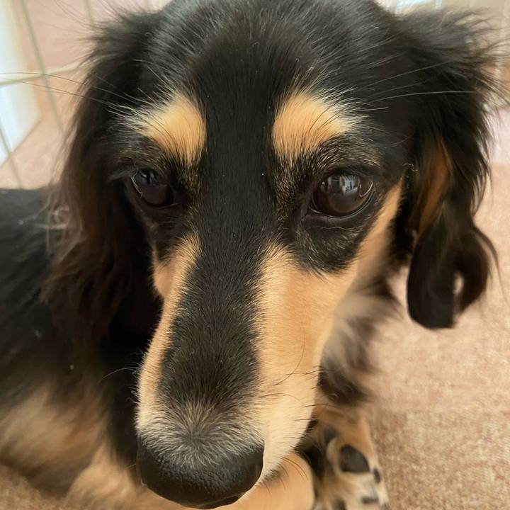 42df0edd 34d0 4c57 b6c0 12749499624d 1701908063916