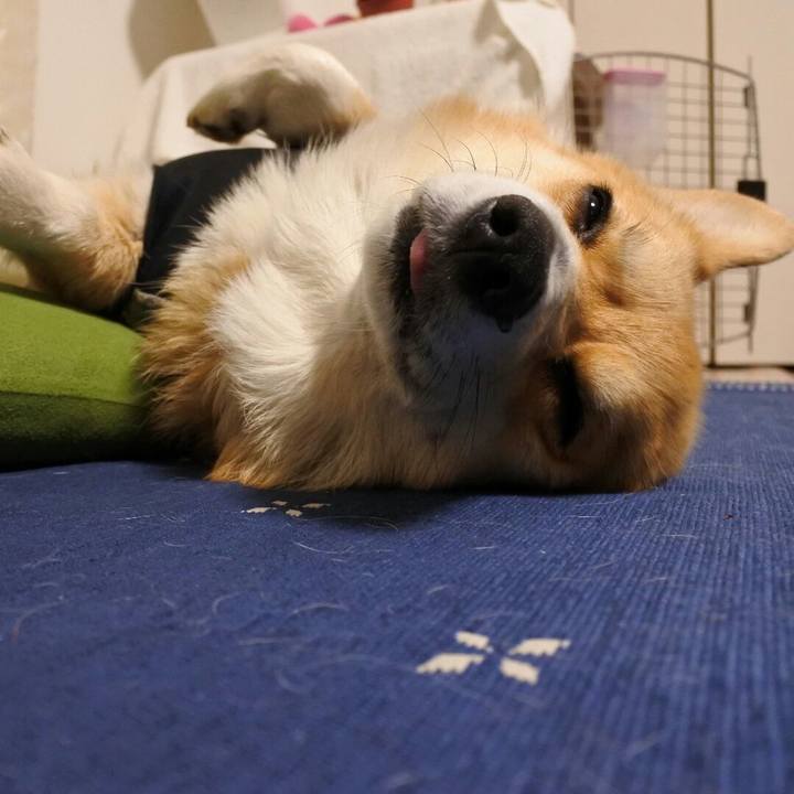 42df1615 9b55 4ac4 b8b4 7ccf50d1a1fc 1521977628736