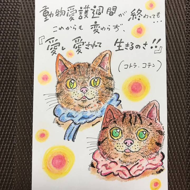 42df283d ed72 4c8b a7cf 6d4b928e8299 1537962058169