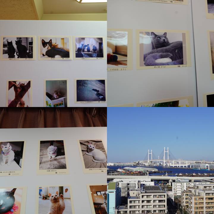 42df4436 9caa 418d 891d 1bab7a7582b0 1582465026051