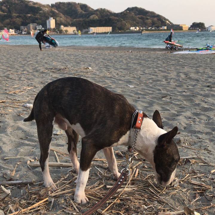 42df4537 87f3 4cb3 86e2 11611793ad04 1522486733542