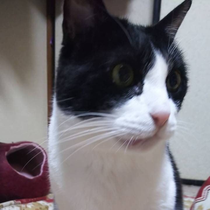 42df61f2 6cd9 41bc 931b fe9a67800495 1581630252319