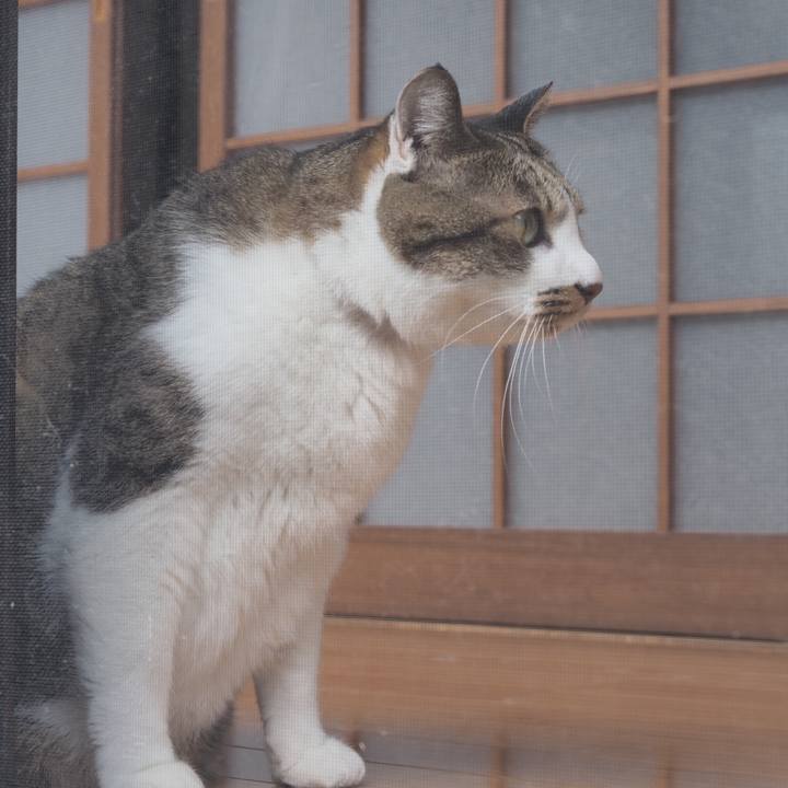 42df7e60 ffa4 4198 bff7 123e90ddbe29 1603028344272