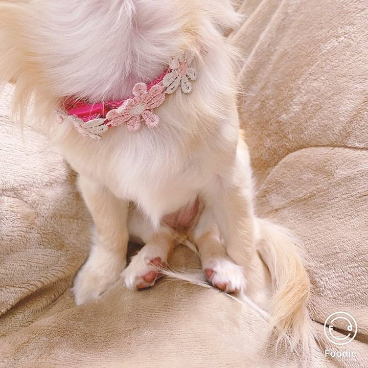 42dfa4c1 243f 4119 af1f 78dbd57ac91a 1616287156743