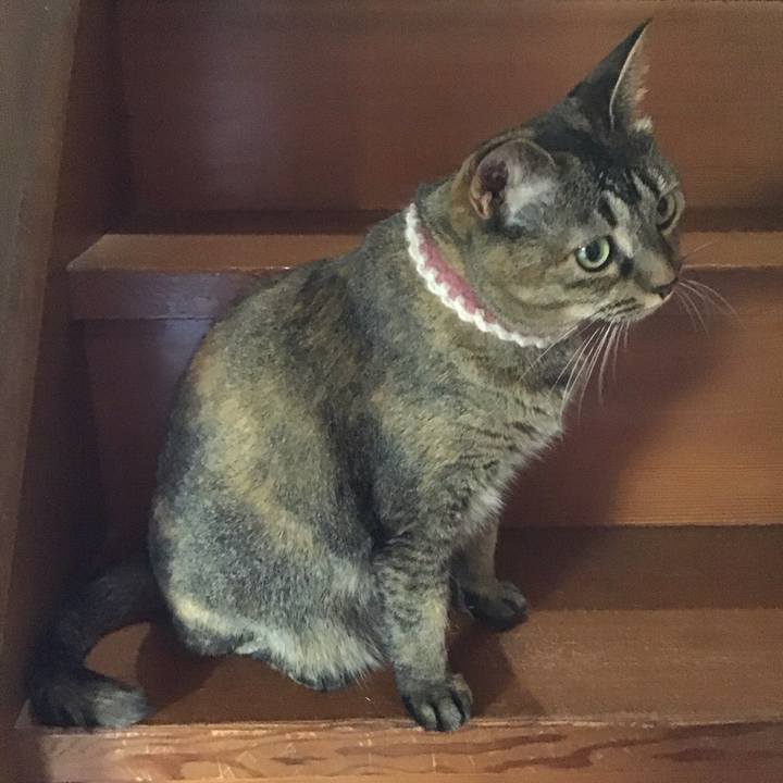 42dfaf06 ba0a 493a acba 39e7360c8c54 1690196613861