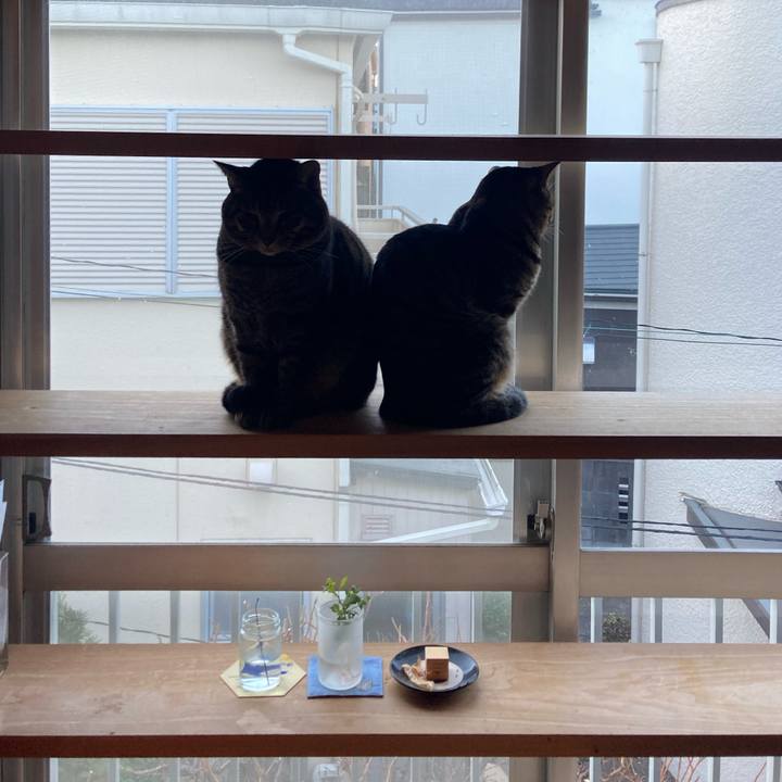 42dfaf06 e56e 4ee8 a778 63cc842bd339 1738404921204