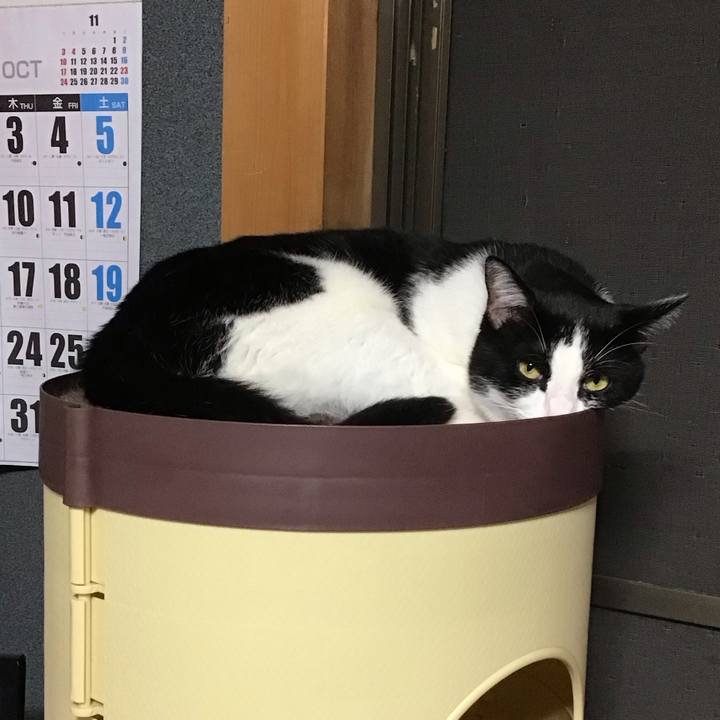 42dfc3bd efeb 4acd a83d ec70c49f3c6c 1728211131959