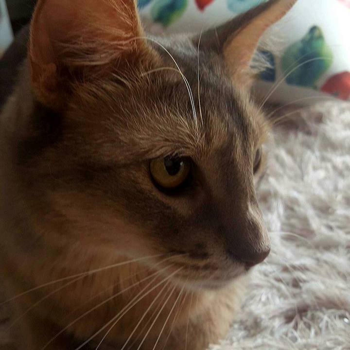 42dfe389 b2f3 4745 a291 53838cafe7d8 1540000043516