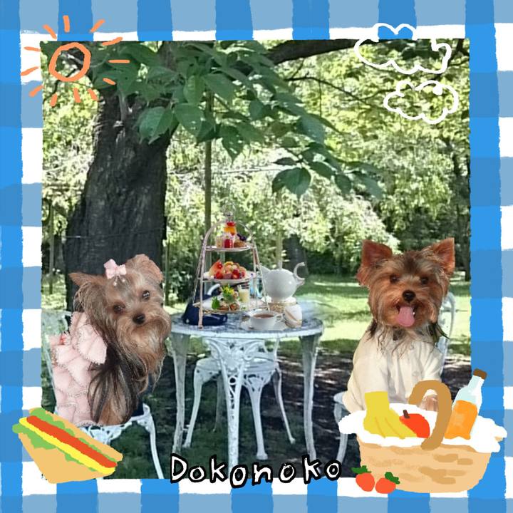 42dff0cf 7739 4072 8992 4975735af8f4 1744345103476