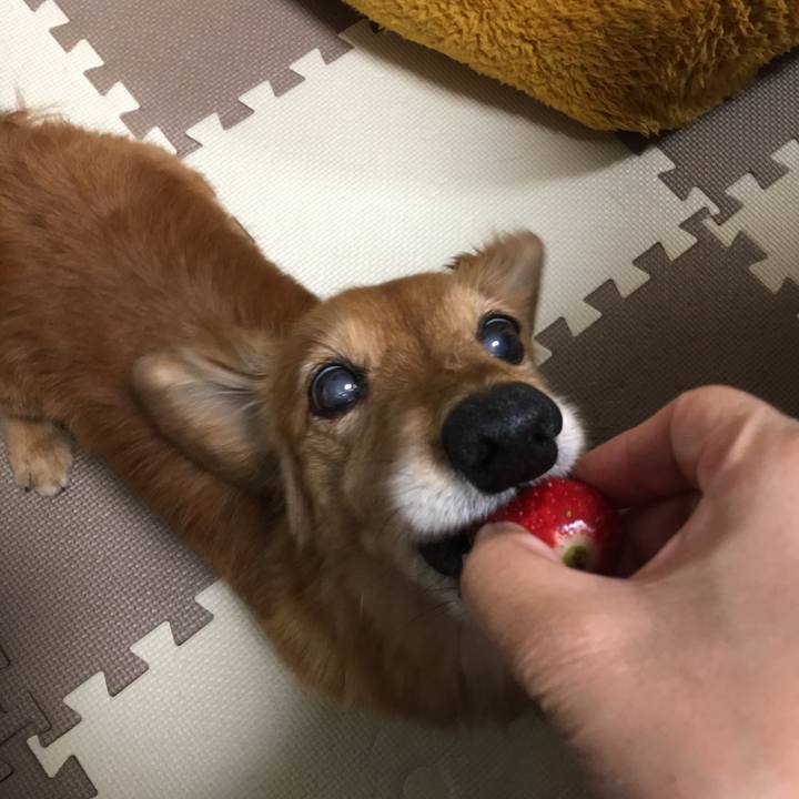 42dff8a5 6158 4645 a76c 9f8f4814ea1a 1618231631469