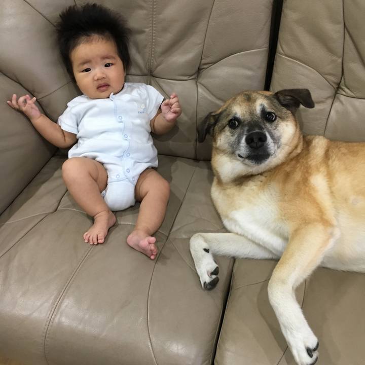 42e01514 086d 464c ad37 5c0c597de0e6 1535103275994